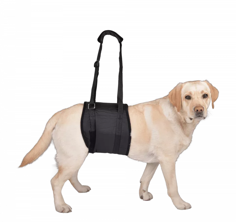 Vetlando Tragehilfe S schwarz